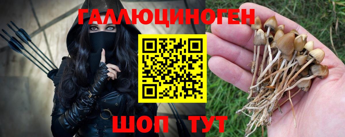 Псилоцибиновые грибы GOLDEN TEACHER  Галлюциногенные грибы Psilocybe  Дедовск  где купить наркоту  Вход с VPN 